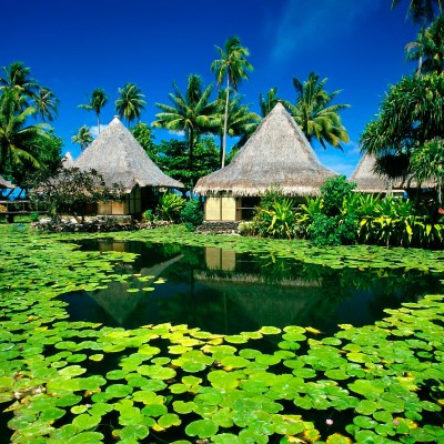 1920 x 1080 HD Wallpapers 2873